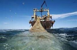 صید پرسود و آب گل آلود، آب را گل نکنیم